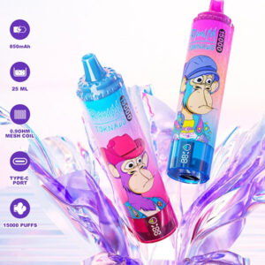 RandM Tornado 15000 Puffs Hot New Products LED Display Disposable Vape