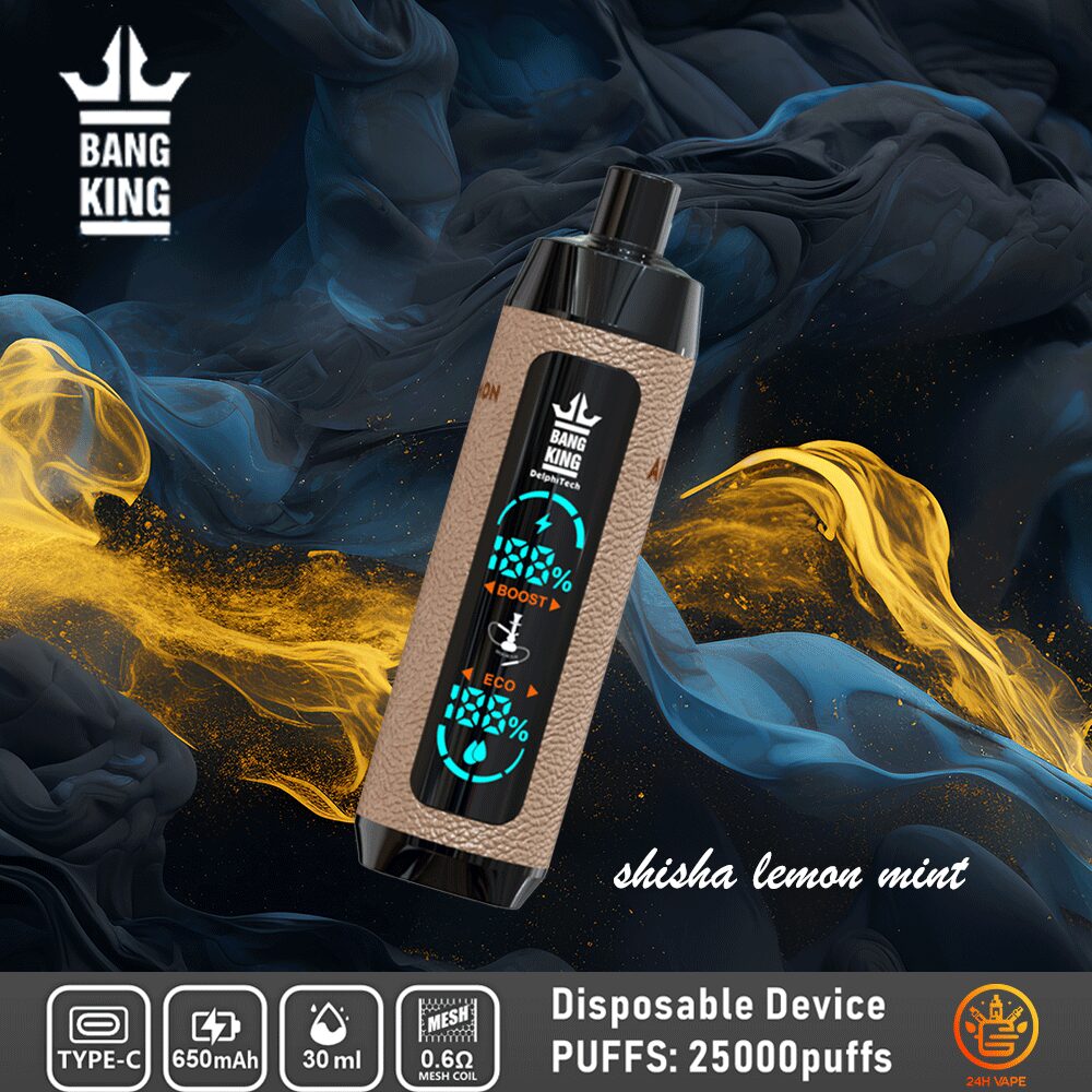 Bang King Shisha 25000 25K Puffs Newest LED Display Leather Disposable Vape Pen - Image 3