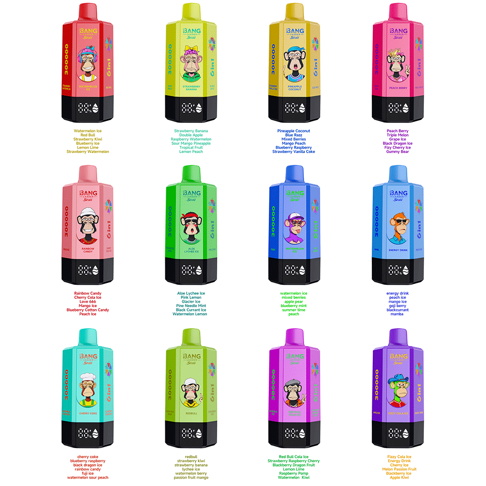 Bang Leader 300K 300000 Puffs 6-in-1 Flavors Rechargeable LED Display Disposable Vape - Image 2