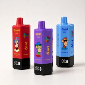 Bang Leader 300K 300000 Puffs 6 in 1 Flavors & 6 oil tanks Rechargeable LCD Display Disposable Vape