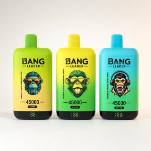 Bang Leader 45000 45K Puffs Double Taste LED Display Rechargeable Disposable Vape