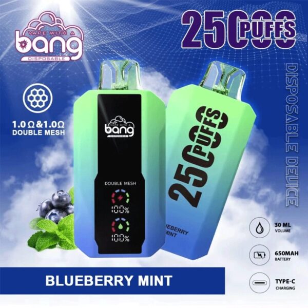 Bang 25K – Geschmacksvariante „Blueberry Mint“