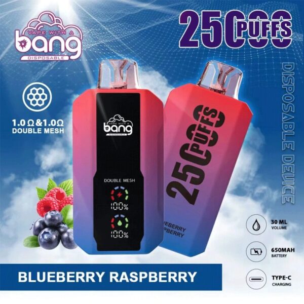 Bang 25K – Geschmacksvariante „Heidelbeere-Himbeere“