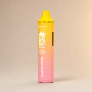 Bang Blaze 40k 40000 Puffs 2% 5% Nicotine Riginal Refillable Oil Vape