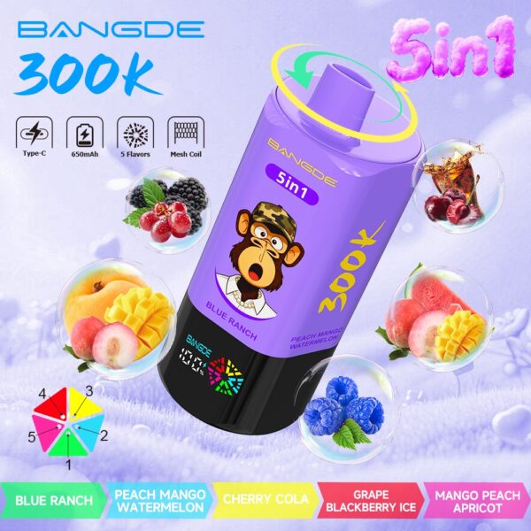 Image du produit Bang DE 300K