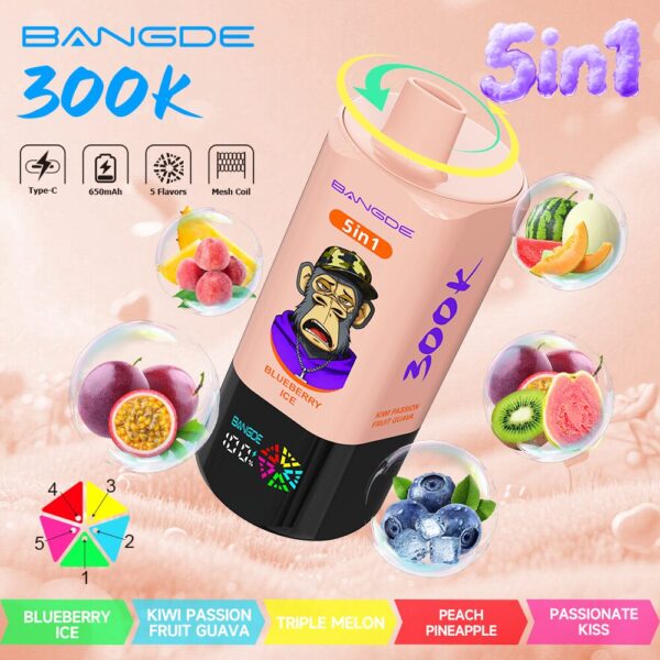 Image du produit Bang DE 300K