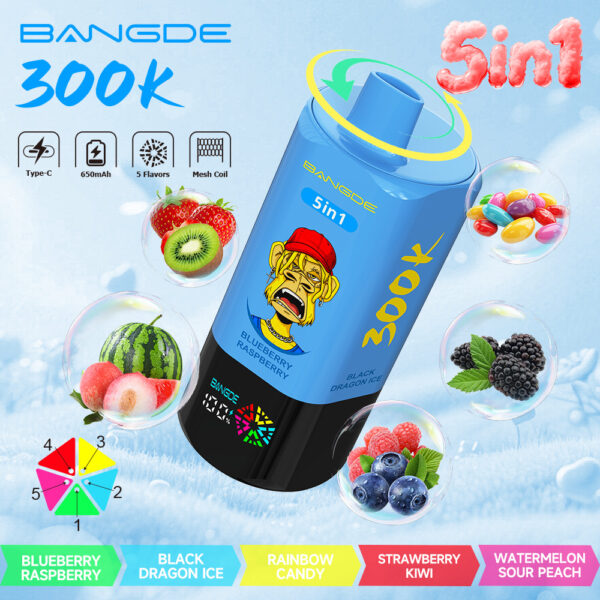 Image du produit Bang DE 300K