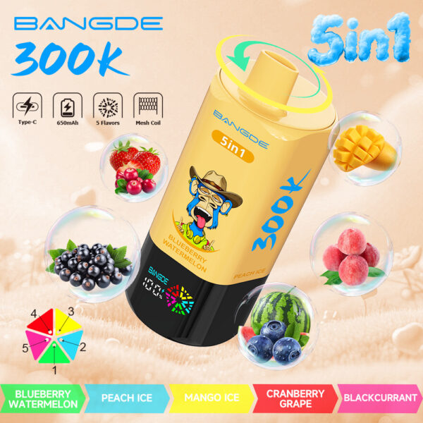 Image du produit Bang DE 300K
