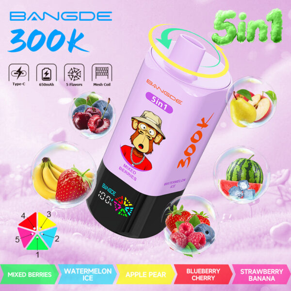 Image du produit Bang DE 300K