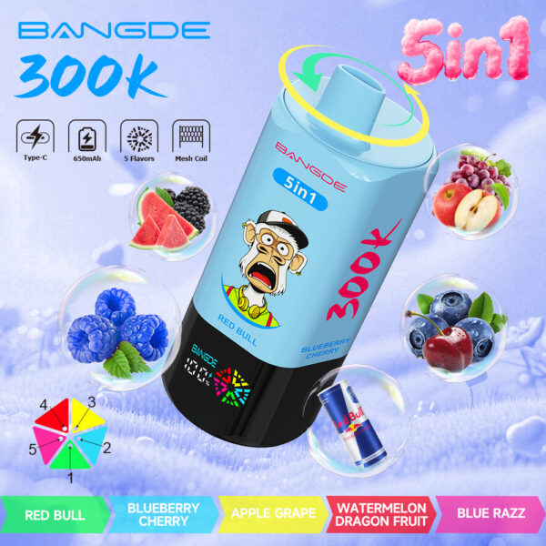 Image du produit Bang DE 300K