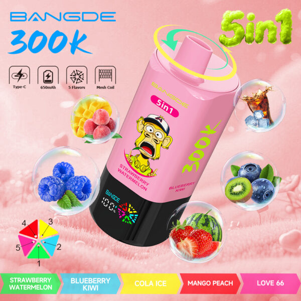 Image du produit Bang DE 300K