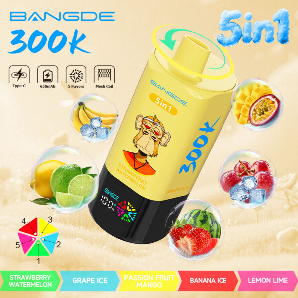 Image du produit Bang DE 300K