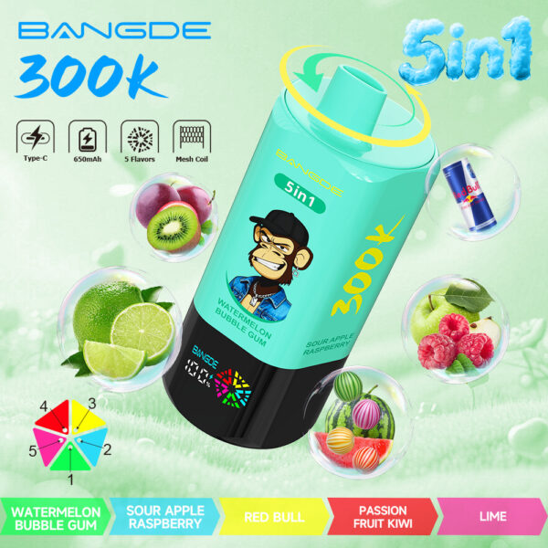 Image du produit Bang DE 300K