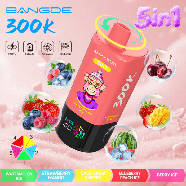Image du produit Bang DE 300K