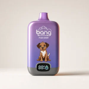 Bang Digital Box 15.000 Züge Edition – Einweg-Vape-Pen