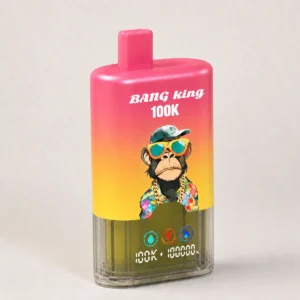 Bang King 100.000 (100K) Züge, 3-in-1-Aromen, wiederaufladbar, mit LED-Anzeige, Einweg-E-Zigarette