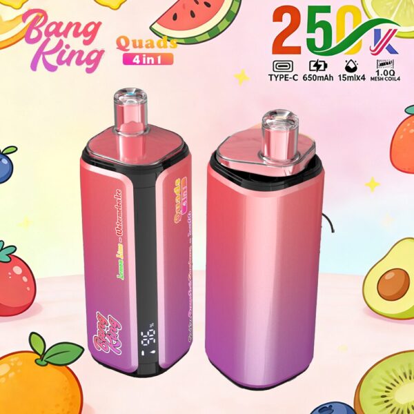 Produktbild von Bang King 250K