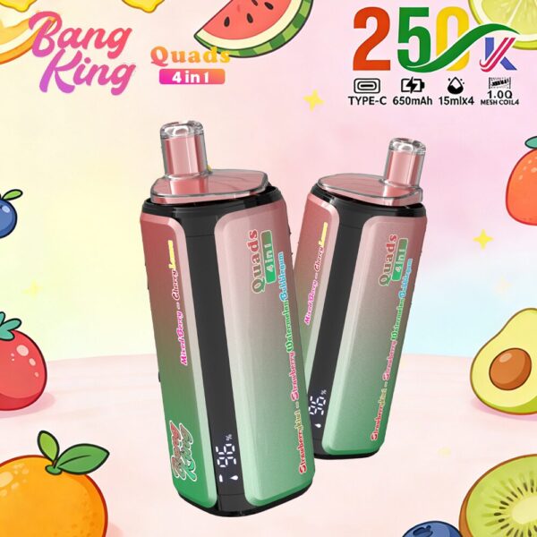 Produktbild von Bang King 250K
