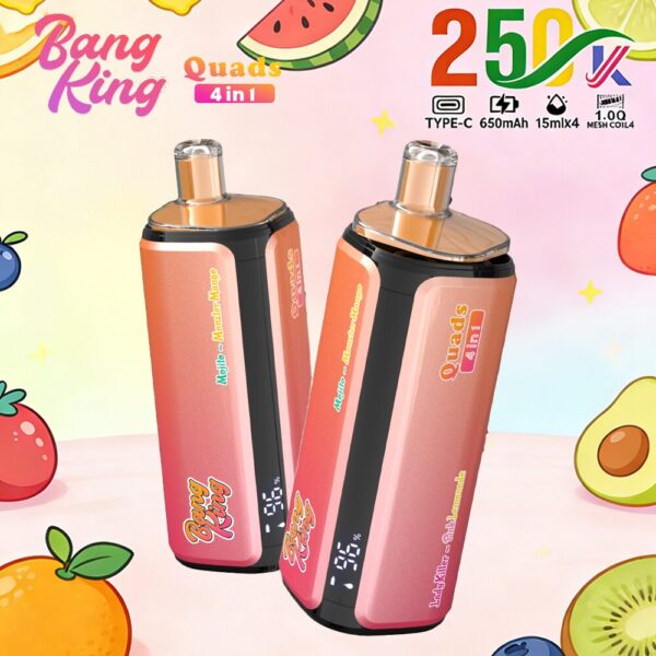 Produktbild von Bang King 250K