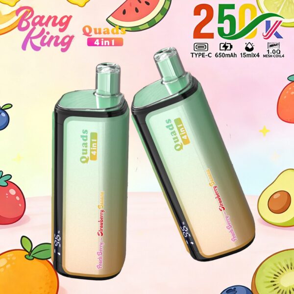 Produktbild von Bang King 250K