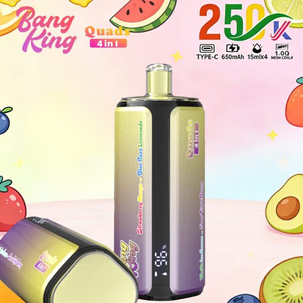 Produktbild von Bang King 250K