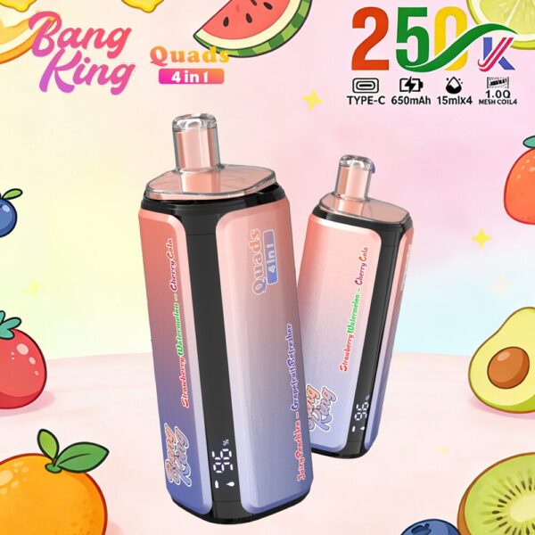 Produktbild von Bang King 250K