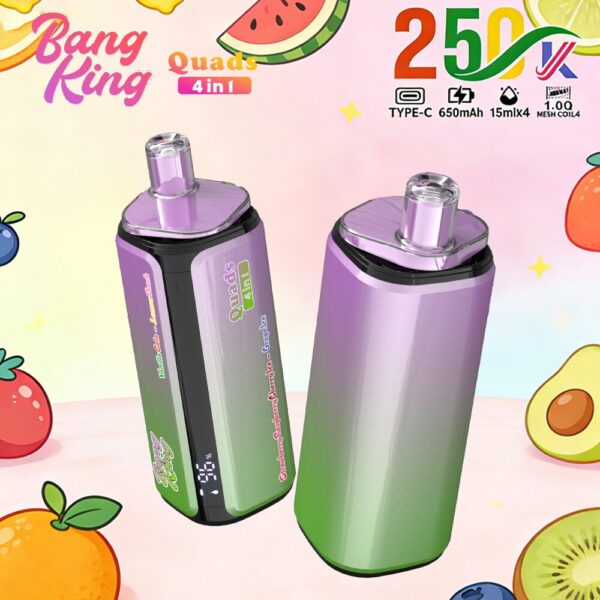 Produktbild von Bang King 250K