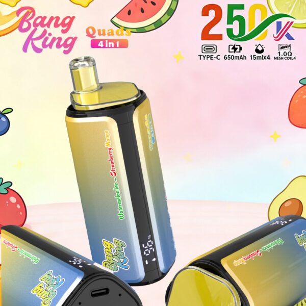 Produktbild von Bang King 250K