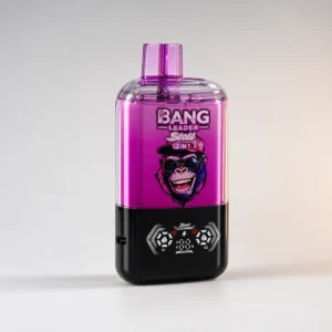 Bang Leader Stoll 120K 120,000パフ ダブルフレーバー＆漏れ防止設計 LEDディスプレイ付き 使い捨てベイプ