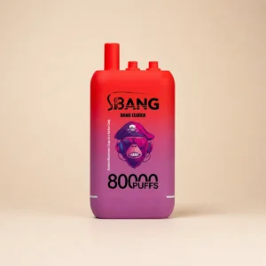 Bang Leader 80000 80K Züge 3-in-1-Geschmacksrichtungen Wiederaufladbarer Einweg-Vape