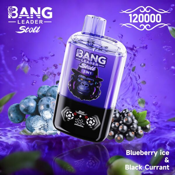 Productafbeelding van de Bang Leader Stoll 120K