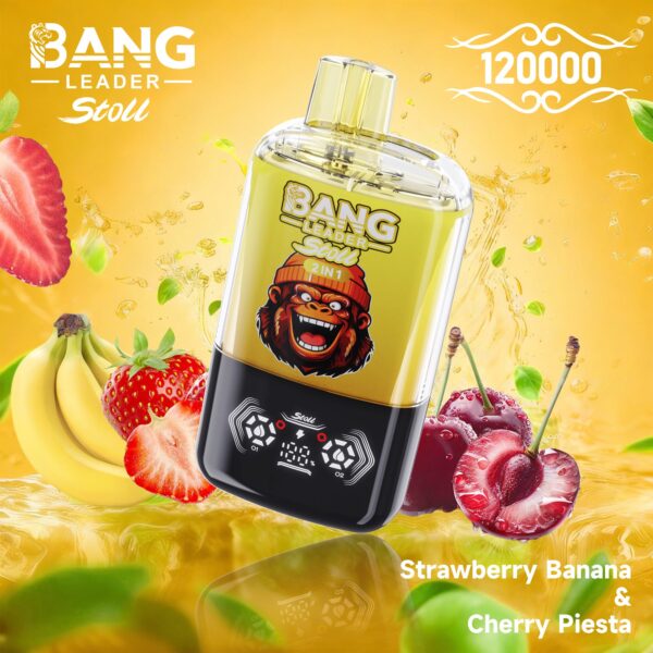 Productafbeelding van de Bang Leader Stoll 120K