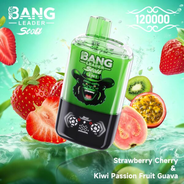 Productafbeelding van de Bang Leader Stoll 120K