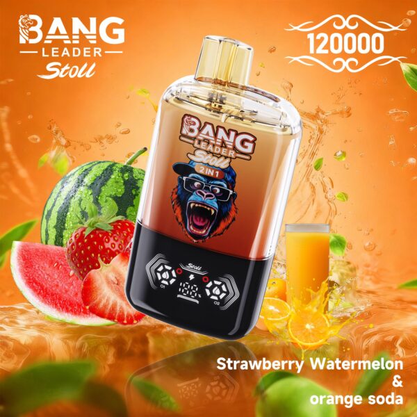 Productafbeelding van de Bang Leader Stoll 120K