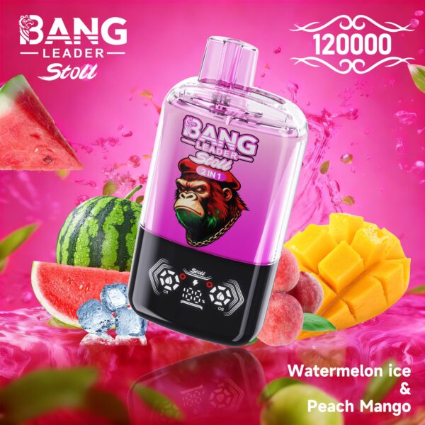 Productafbeelding van de Bang Leader Stoll 120K