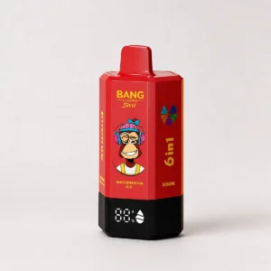 Bang Leader 300K 300,000パフ 6-in-1フレーバー 充電式 LEDディスプレイ付き 使い捨てベイプ