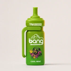 Bang Tn 12.000 Züge – Einweg-E-Zigarette
