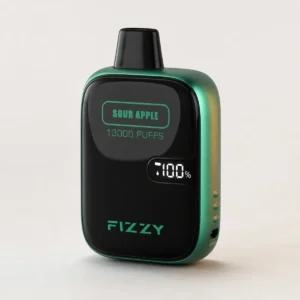 Fizzy Boom 13000 13K Züge Small Edition Einweg-E-Zigarette mit LCD-Display