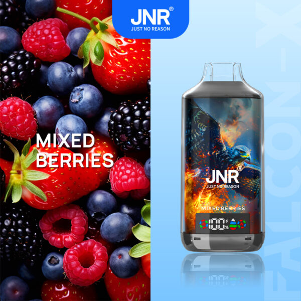 JNR FALCON X, Geschmacksvariante „Mixed Berries“ (18K)