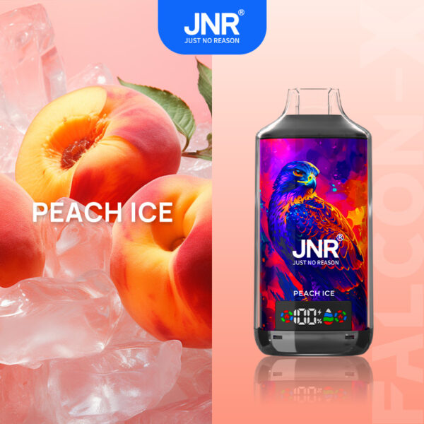 JNR FALCON X 18K – Geschmacksvariante „Peach Ice“