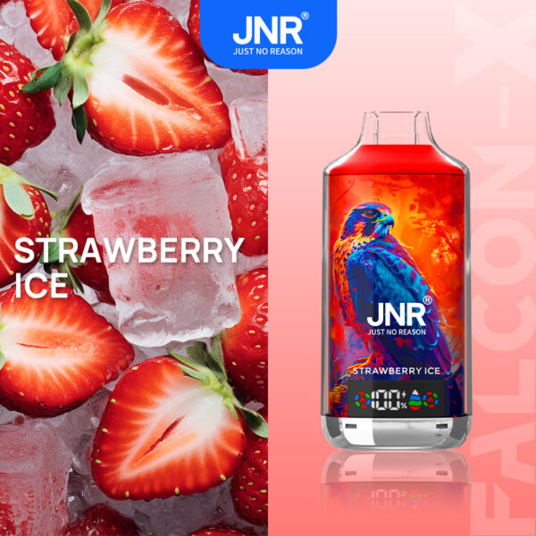 JNR FALCON X 18K – Geschmacksvariante „Strawberry Ice“