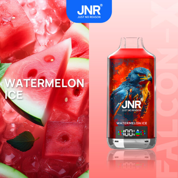 JNR FALCON X 18K – Geschmacksvariante „Watermelon Ice“