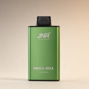 JNR メガボックス 25000パフ版 充電式使い捨てベイプ