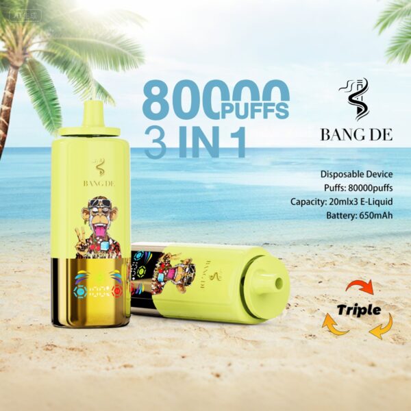 Produktbild Bang DE 80K