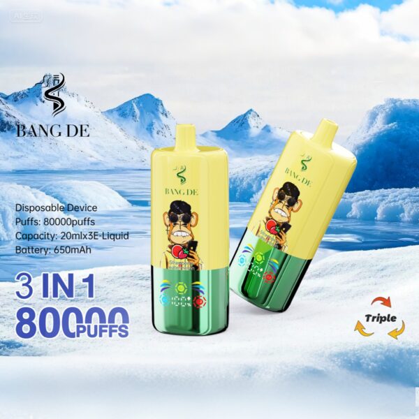 Produktbild Bang DE 80K