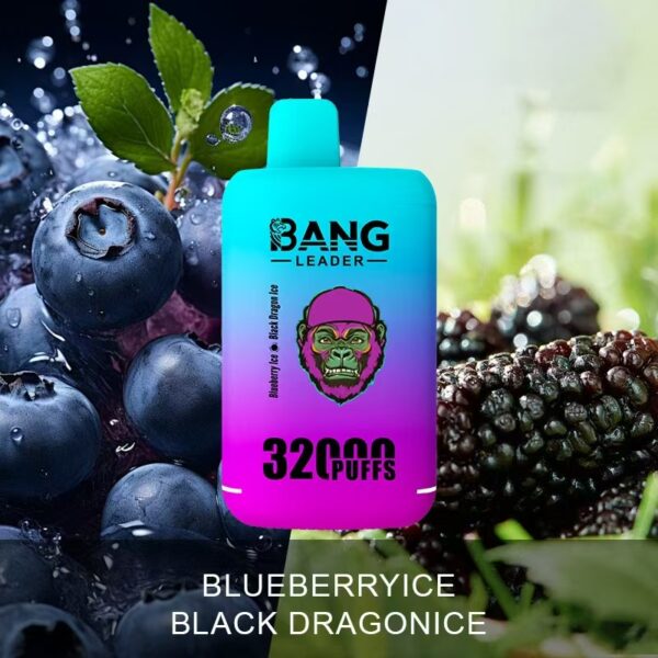 Imagen del producto Bang Leader 32K