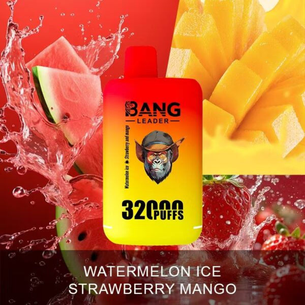 Imagen del producto Bang Leader 32K