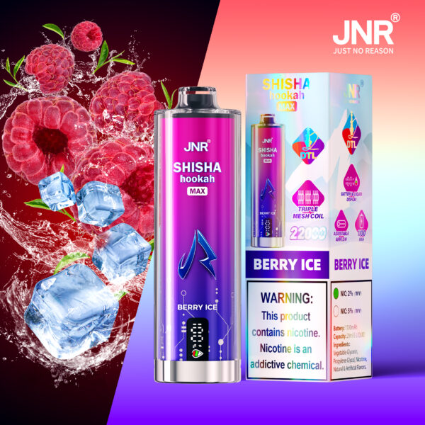 JNR Shisha Max 22K, saveur « Berry Ice »