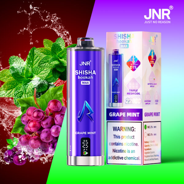 JNR Shisha Max 22K, saveur « Raisin-menthe »