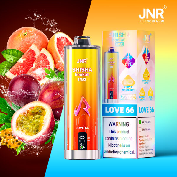 JNR Shisha Max 22K Love 66 – choix de saveurs